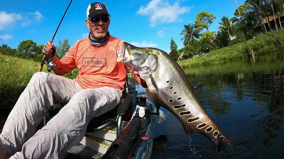 A clown knifefish caught in one of South Florida's many canals.