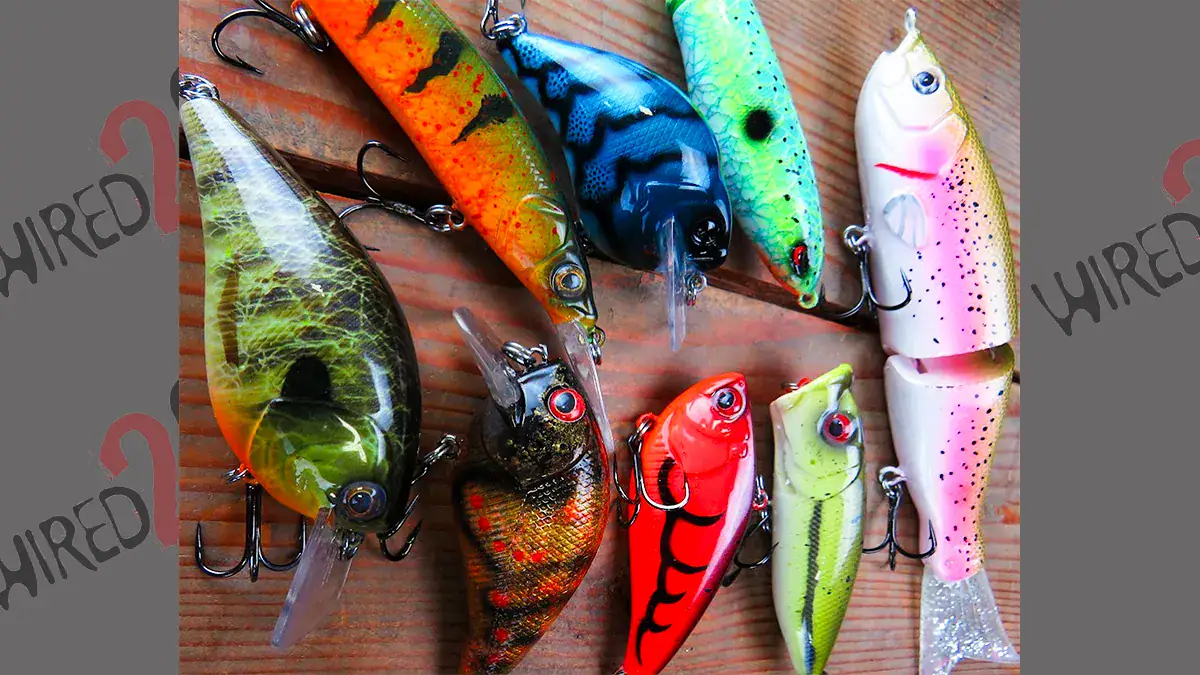 The sky is the limit when custom painting crankbaits, as this display by Do-It Molds shows.