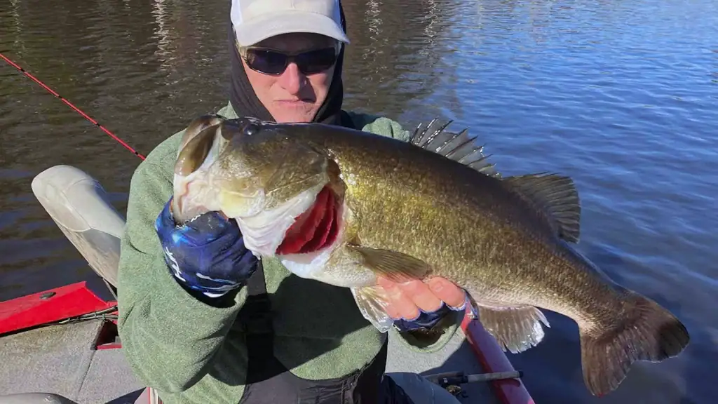LAKE NACONICHE bass fishing