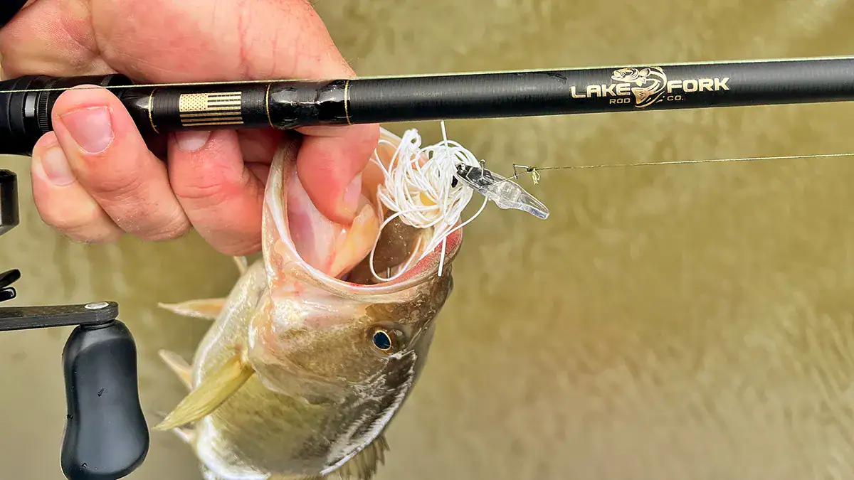 A closeup of a section of the new Lake Fork Rod Co. Gold Series rod, plus the fish it caught with a ChatterBait lure.