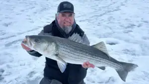 Giant 38-Inch Striped Bass Caught Through Rhode Island Ice