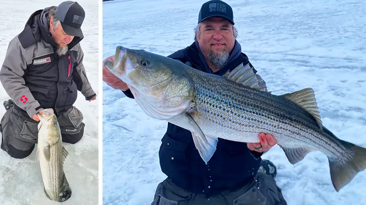 Luke Howard and the 38-inch striped bass he caught through the Rhode Island ice and then released.