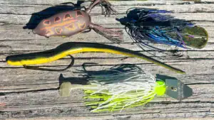 The lures we're throwing this March: a walking frog, a swim jig, a floating worm, and a chatterbait.