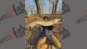 16-Year-Old Muskie Caught and Released in Potomac River