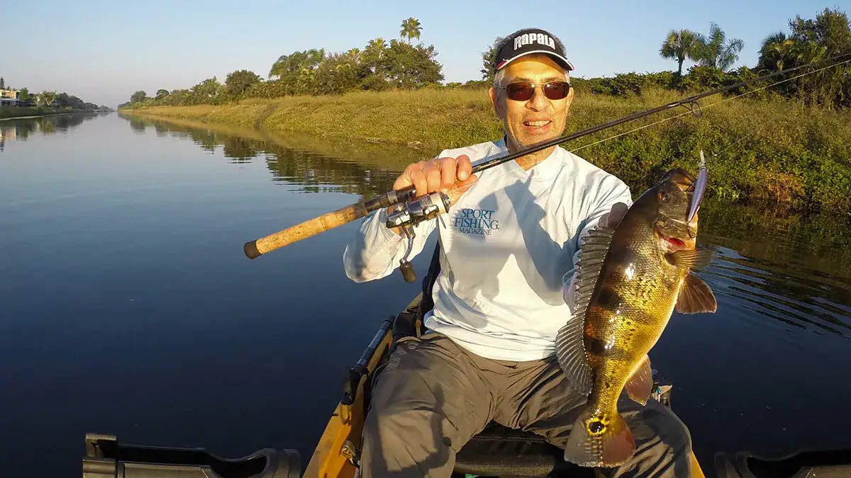 A peacock bass from a canal in Palm Beach County.