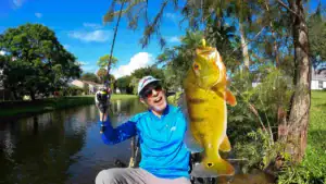 A peacock bass caught from a small South Florida canal.