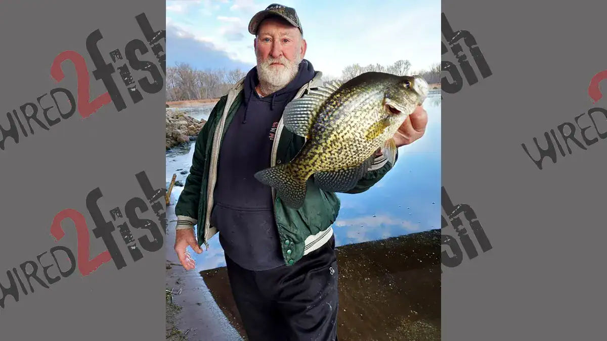 Tom Sawvell catches big crappies on his homemade jigs and grubs.