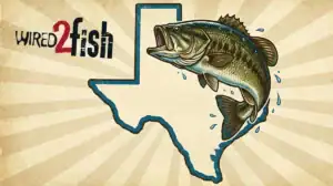 Bess bass fishing lakes texas