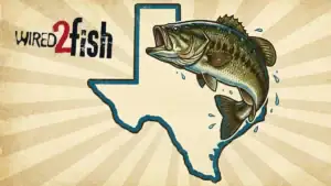The Best Bass Fishing Lakes in Texas