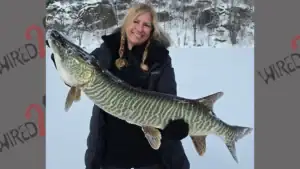 Giant, 41-Inch Tiger Muskie Landed Through The Ice