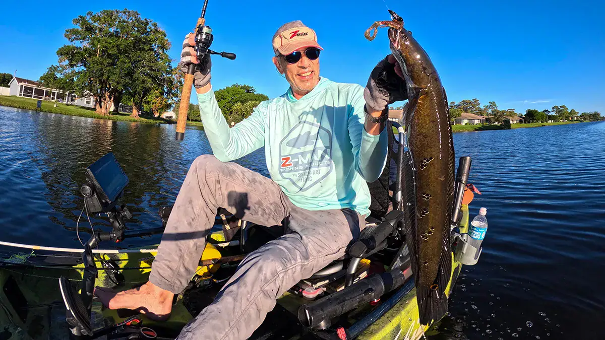 A bullseye snakehead caught in one of the many canals comprising South Florida's widespread canal network.
