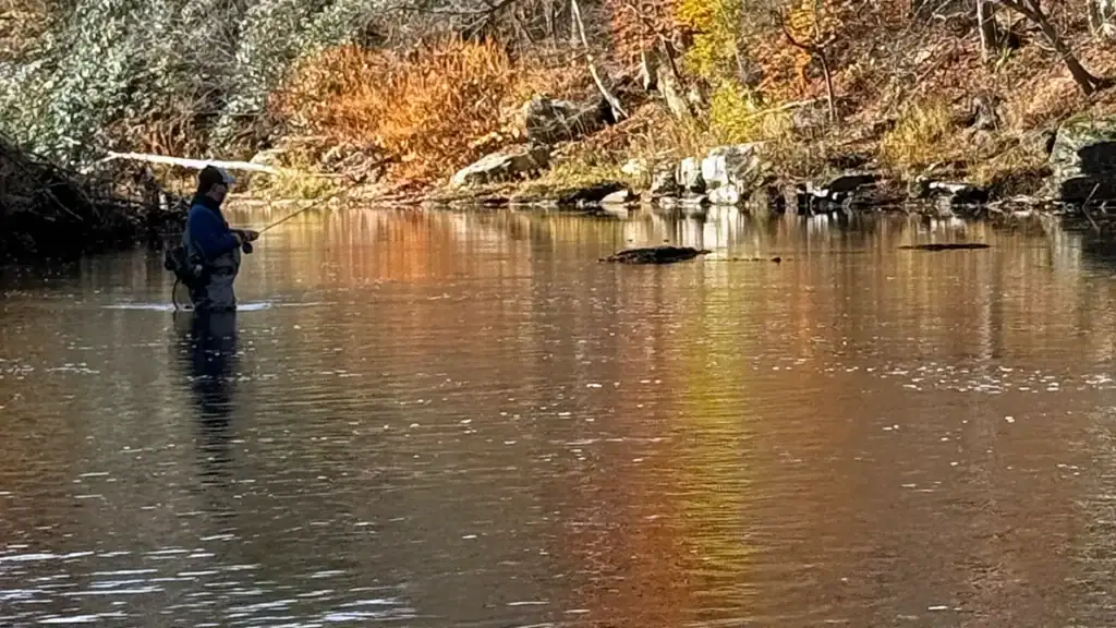 angler fishing in waders