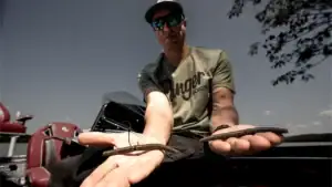 [VIDEO] Wacky Rig or Neko Rig? When to Throw Each