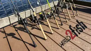 A selection of rod and reel spin combos