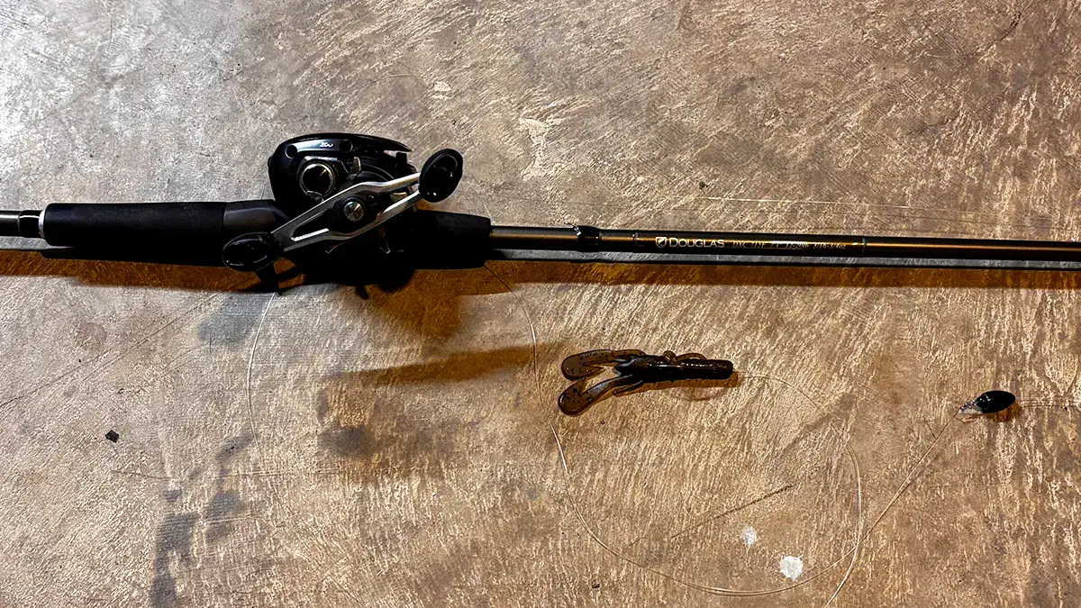 An example of the Carolina rig.