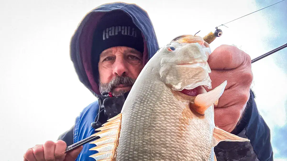 A man holds a fish with a single-tail grub in its mouth.