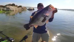 14.73-Pound California Bass Was the Day’s “Small” Fish