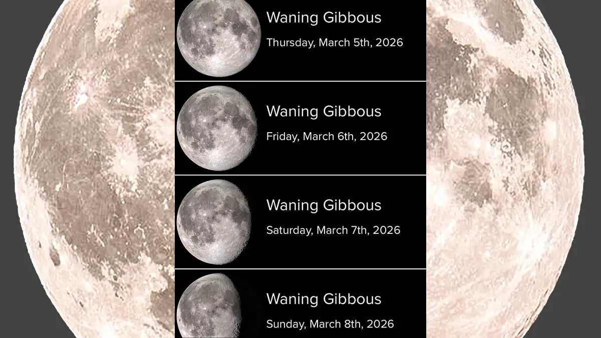 An image showing a lunar-phase tracker.