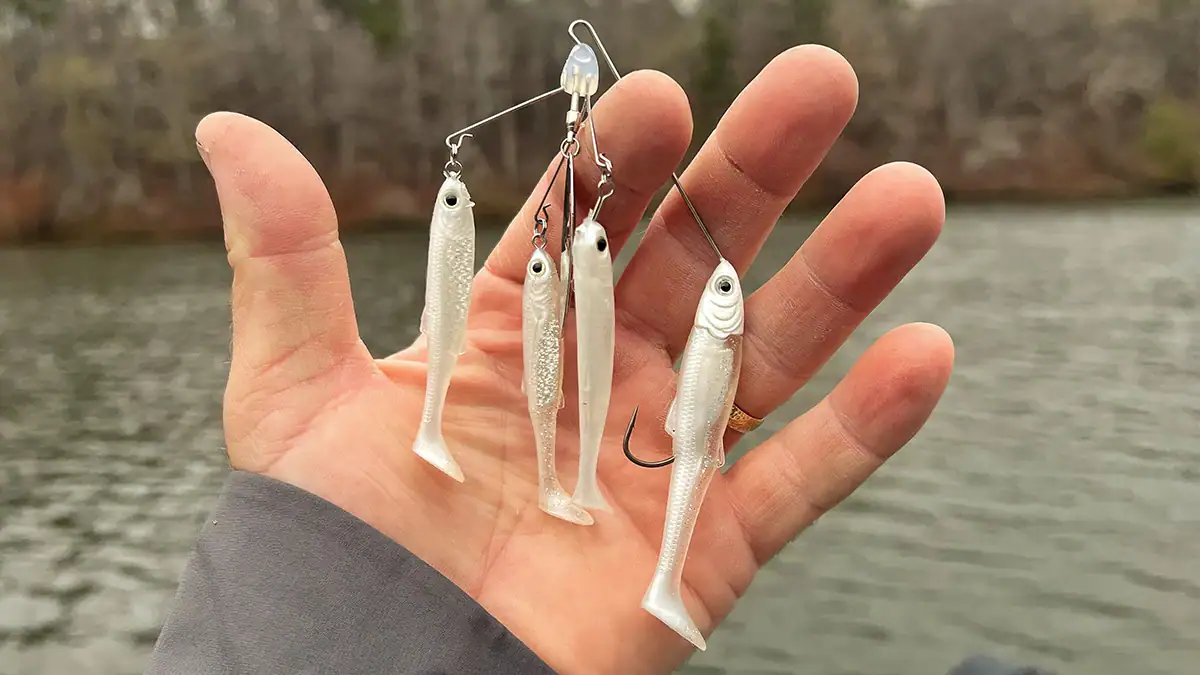 The LIVETARGET Baitball Spinner Rig.