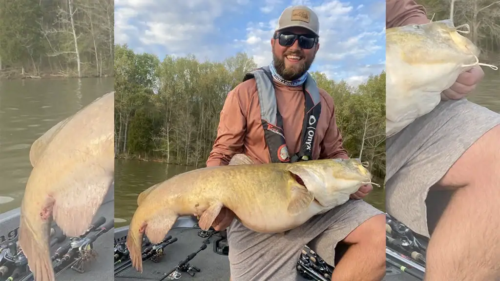 Nick Dumke catches a fat catfish