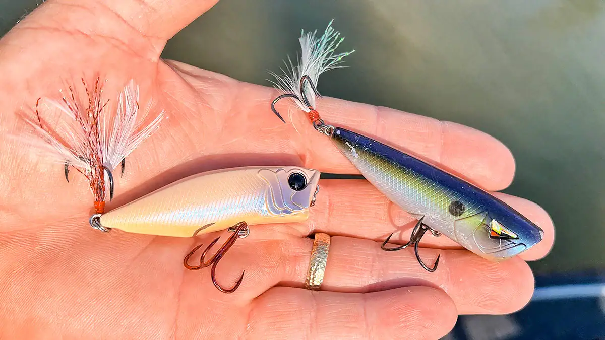 Small poppers are great bait for April, when bass are guarding fry.