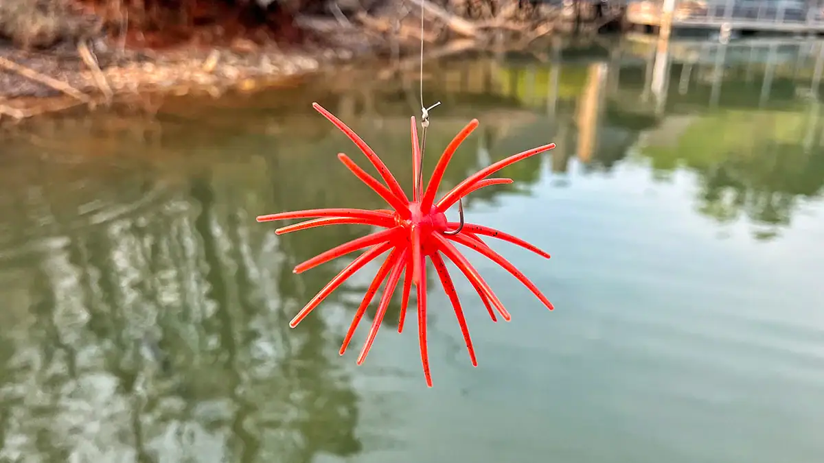 Urchin-style bait are having a moment following Fisher Anaya's Elite Series win back in February.