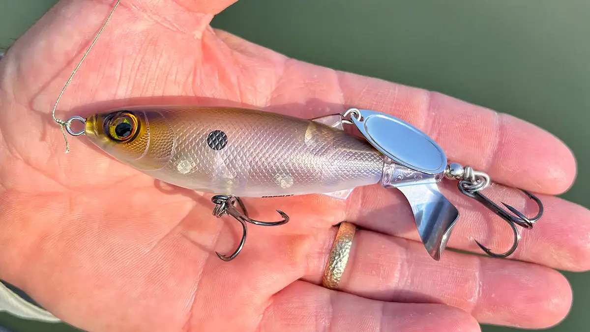 The Rapala Clap Tail gets a lot of bites in the South this time of year.