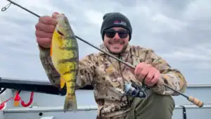 Shimano Compre Lite Series Review