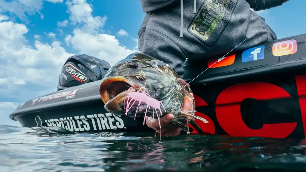Smallmouth bass caught on fuzzy lure