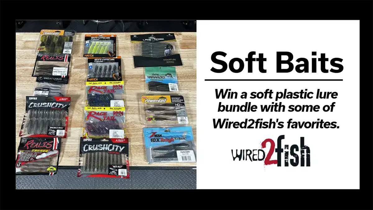 Soft Plastic Giveaway