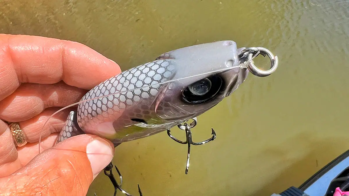 Strike King's Hog Father Jr. glidebait as seen from the top and front.