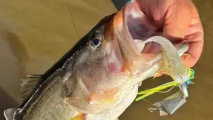 What’s New with Vibrating Jigs