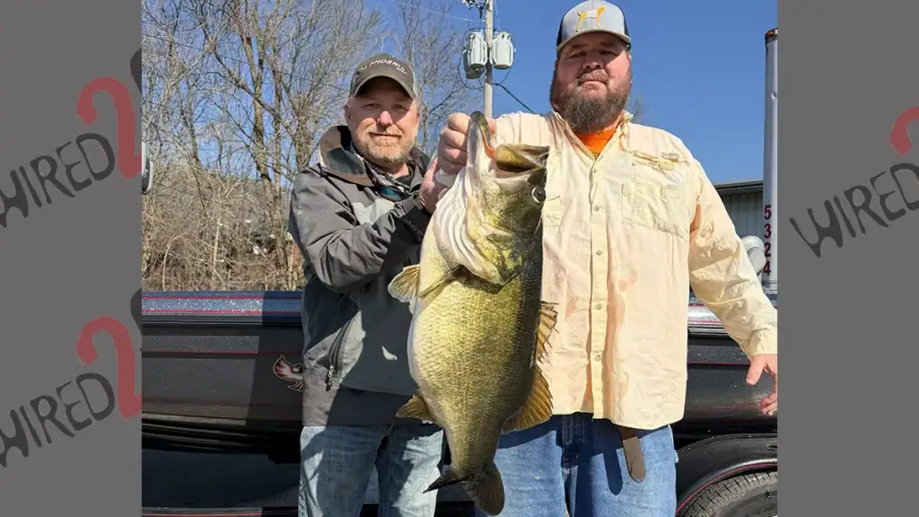 Tennessee-record-largemouth