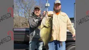 Angler Smashes Tennessee Record with Giant Largemouth 