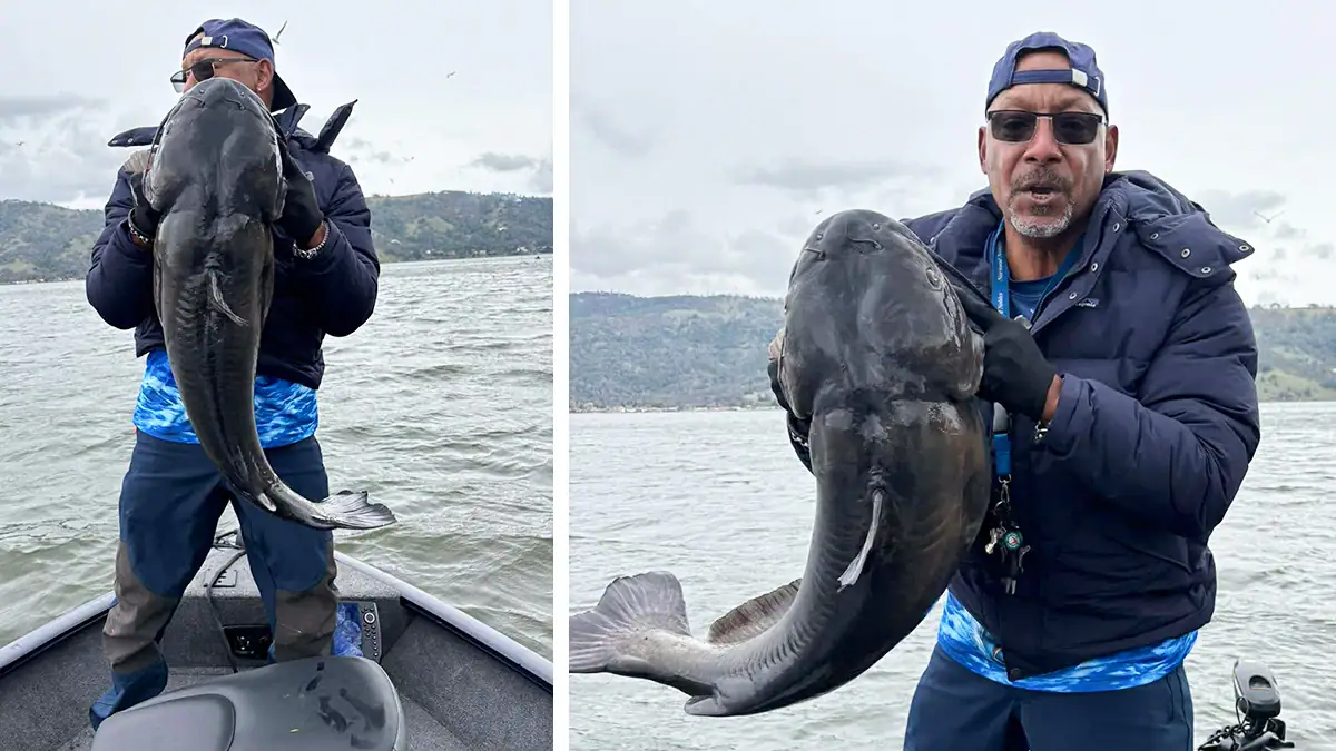 Vince Mack and the channel catfish he caught last month, which set a new record for California's Clear Lake.