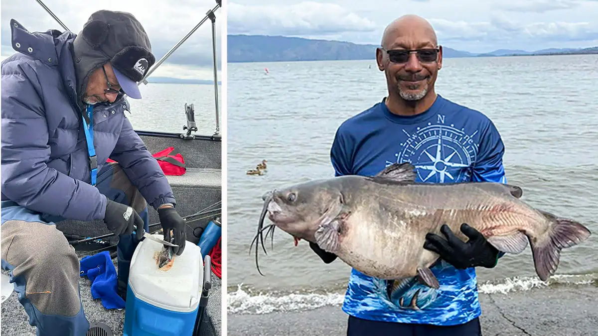 Vince Mack, cutting bait on the left and showing off his record-setting channel catfish on the right.
