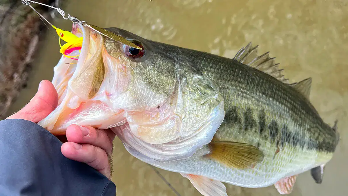 Understanding how bass behave during the pre-spawn can help you get better bites from bigger bass.