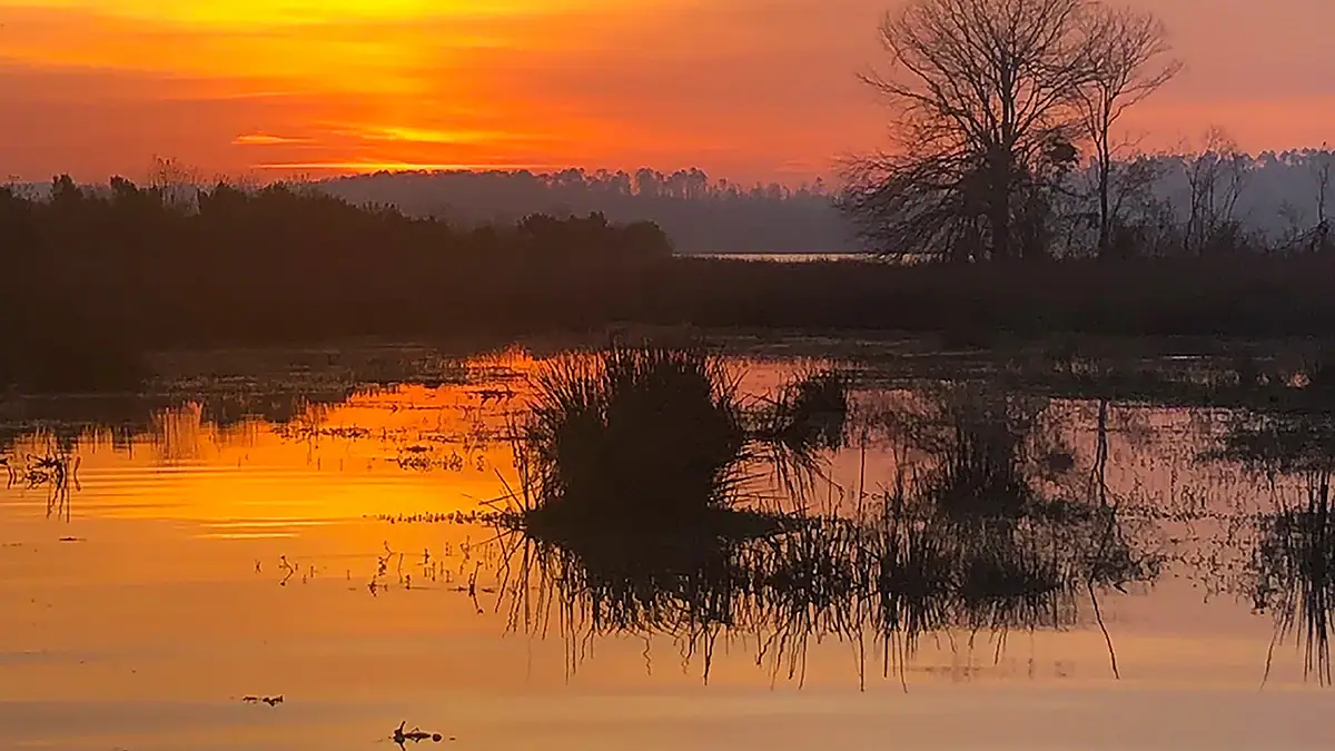 Where to look for spawning bass.