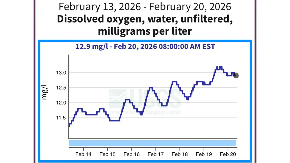A USGS graph showing a body of water's dissolved oxygen levels from Feb. 13 through Feb. 20, 2026.
