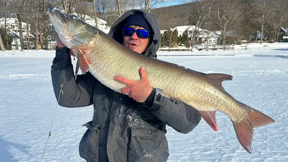 Victor Gelman holds up the 45.03-pound muskie he landed through the ice on Feb. 24, which he had hoped would set a New Jersey state record.