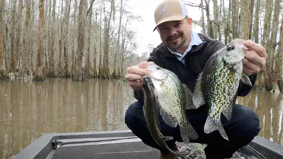 These slabs were all caught in two feet of water in a dead-end canal under a cork.