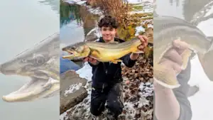 Rocky Mountain Teen Sets Trout Records on Bow River