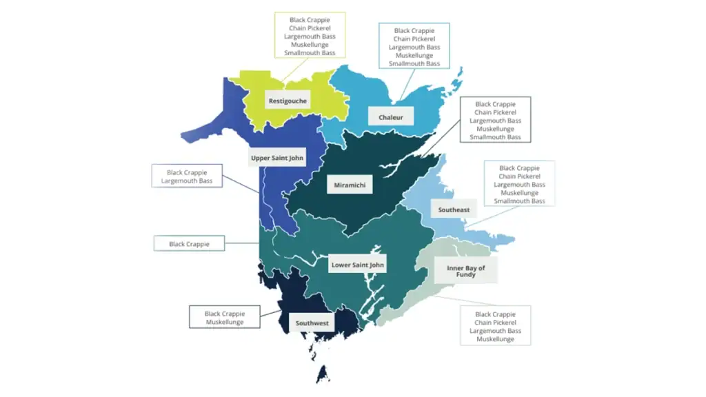 New Brunswick fishing zones