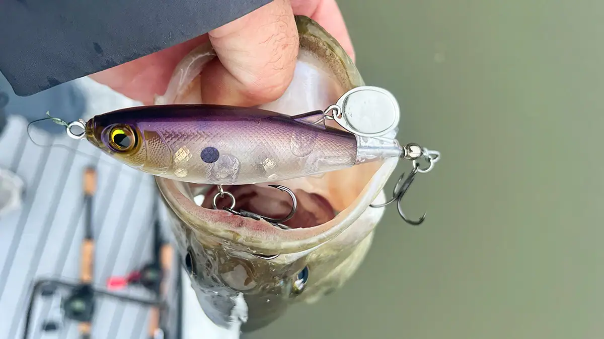A post-spawn bass and the lure that caught it.