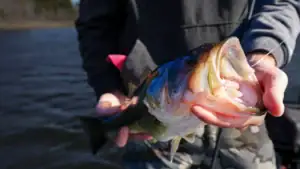 [VIDEO] Best Leader Knot for Flipping Heavy Cover