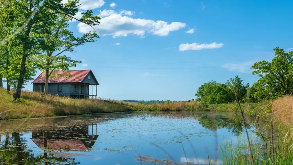 spring in the Ozarks