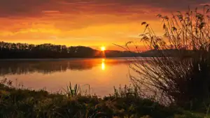 Follow Nature’s Signs To Catch More Fish This Spring