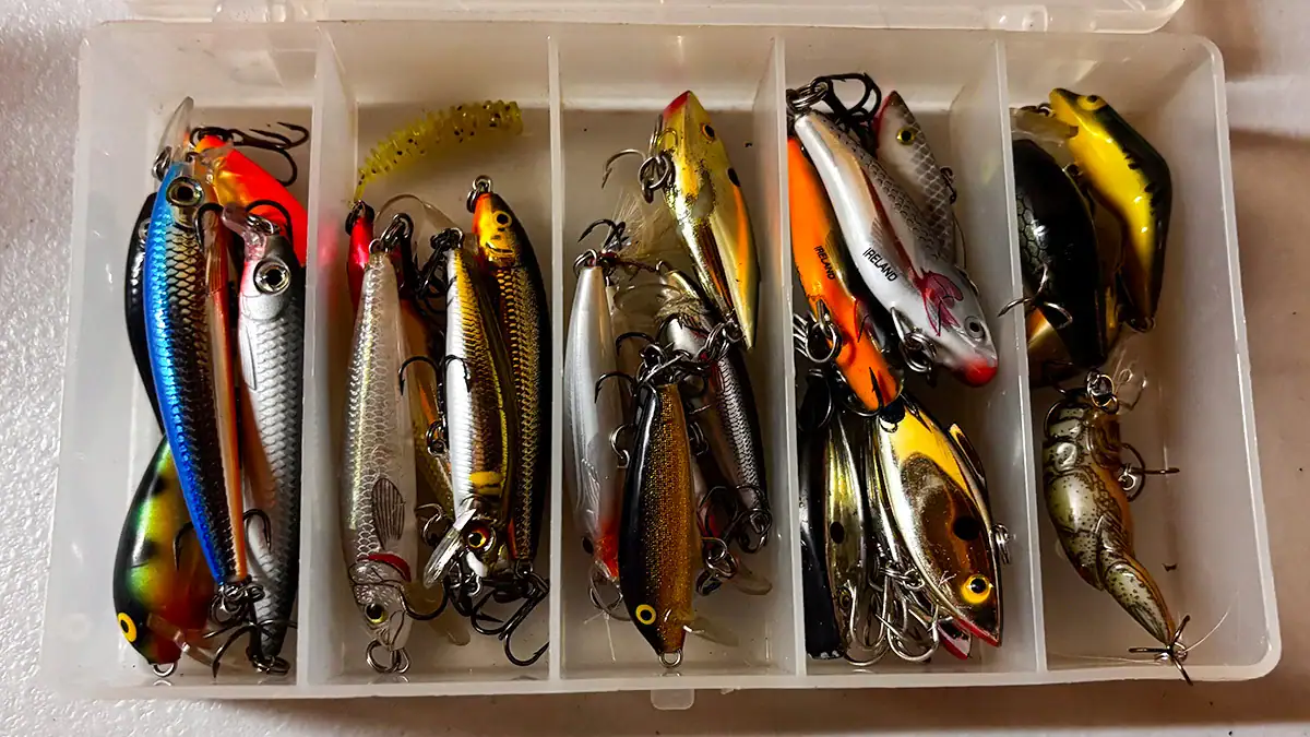 A tidy assortment of hard bait in a plastic container.