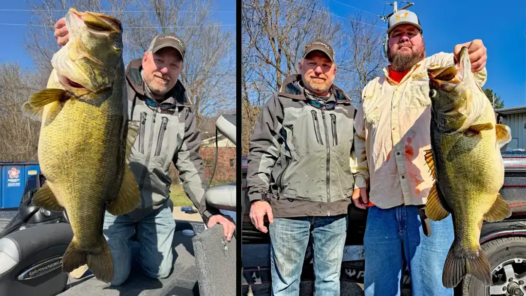 tenn record largemouth bass