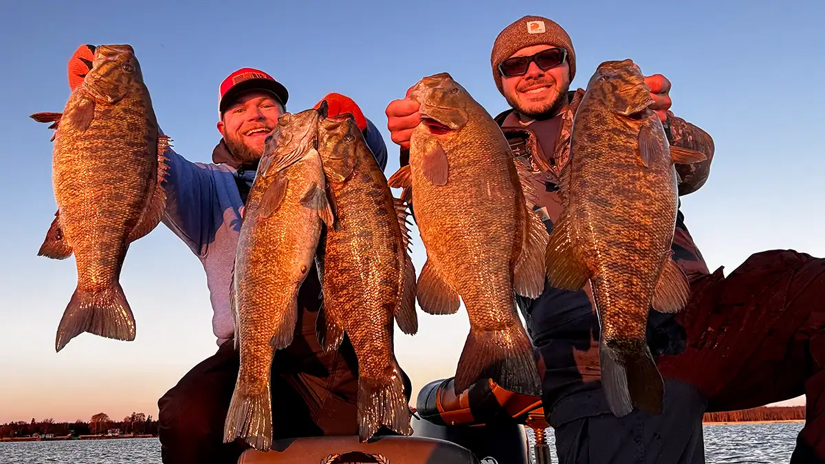 Two men and their five fish are cast in golden-hour light.